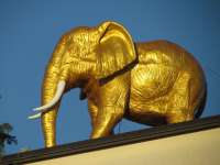 Das ist ein goldener Elefant
