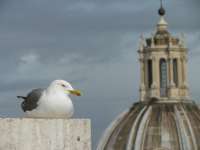 IMG_5588.JPG