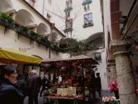 IMG_6231.JPG