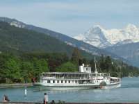Blick auf den Thuner See