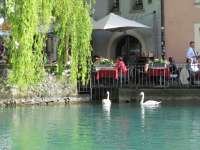Cafe an der Aare