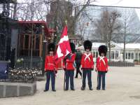 Ach, die wachsen da auch noch rein