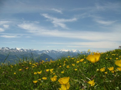 Landschaften