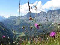 Sustenpass (2016)